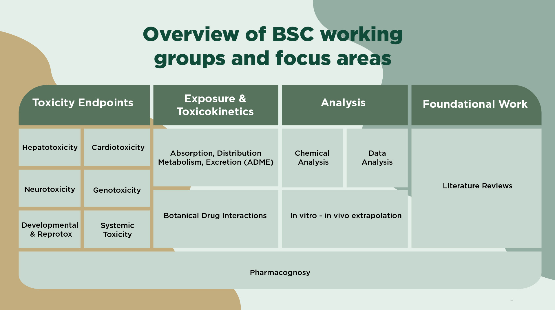 BSC Current Working Groups