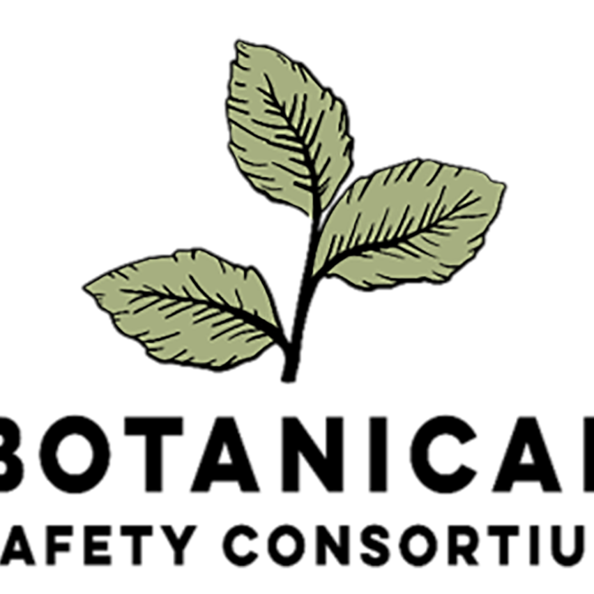 BSC Logo v2